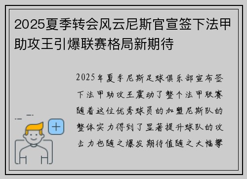 2025夏季转会风云尼斯官宣签下法甲助攻王引爆联赛格局新期待