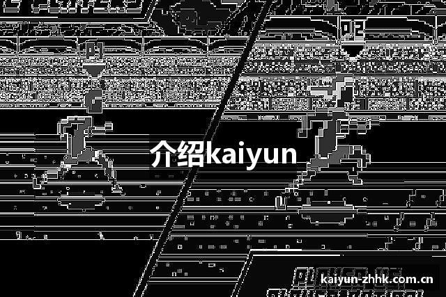介绍kaiyun